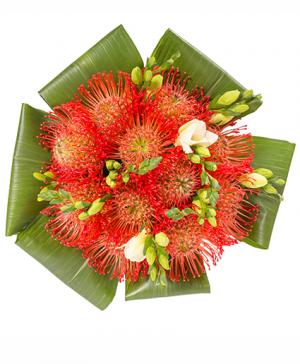 Maxie Bouquet in Caringbah, NSW | Funky Flowers Maxie Bouquet in Caringbah, NSW | Funky Flowers