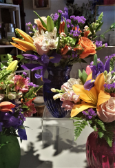  SPECIAL OF THE WEEK REG. $80. - NOW $60.-