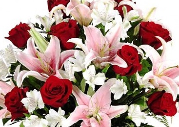 Mayfield Flowers Exclusive Designer's Choice Vase Arrangement in Seasonal Colours