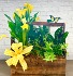 Medium English Dish Garden 