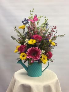 MD6 Garden Watering Can