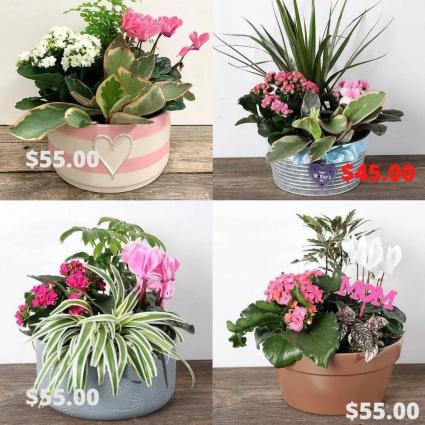 Mother's Day Planter 2021