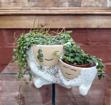 "Me and Mom" - Strings plant combo in Jefferson City, MO | RIVER CITY FLORIST & GIFTS "Me and Mom" - Strings plant combo in Jefferson City, MO | RIVER CITY FLORIST & GIFTS