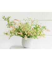 Meadow Breeze  