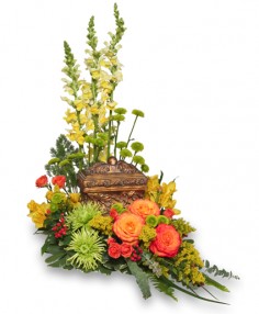 Category Image
