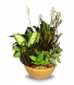 Purchase this funeral home arrangement