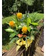 CHEERFUL BOTANICAL GARDEN Medium Dish Garden with Florals and Embellishment