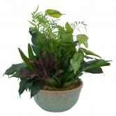 Medium Dish Garden Planter