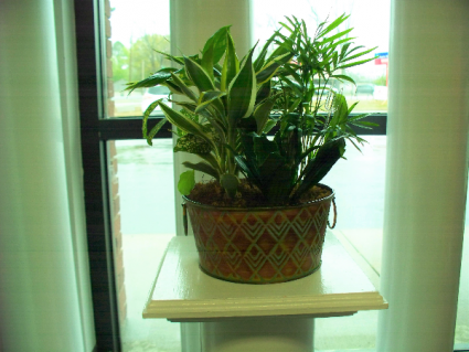 Medium Dishgarden