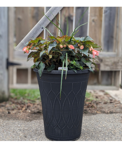 Medium Patio Planter 