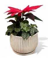 Medium planter  Ceramic planter