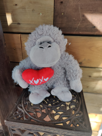 Medium Valentines Monkey 