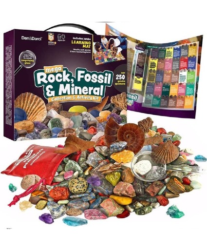 Mega Rock, Fossil & Mineral Collection 