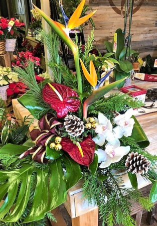Mele Kalikimaka Tropical Arrangement