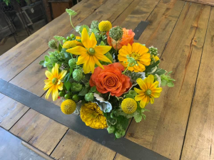 Mellow Yellow Flowers for All Occasions