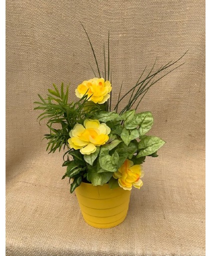 Mellow Yellow Dish Garden Planter