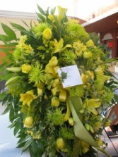 Mellow Yellow Spray/Corona