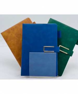 Memo/day timer book  Giftware 