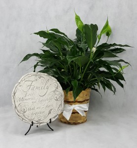 Memorial Plaque and Plant Funeral