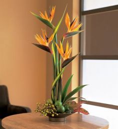 Memories of Paradise in Burbank, CA | MY BELLA FLOWER Memories of Paradise in Burbank, CA | MY BELLA FLOWER