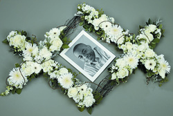 Memory Display