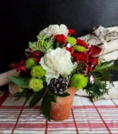 Merry and Bright Arrangement