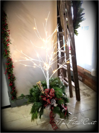 Merry and Bright Fresh Greenery With White Tree and Lighted Branches
