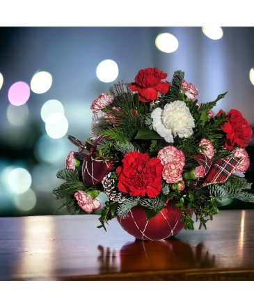 Merry and Bright MERRY-23 in Waldorf, MD | Country Florist