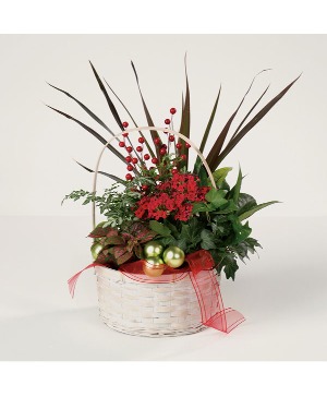 Merry Christmas Plant Basket 