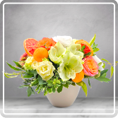 Merry Citrus Delight 