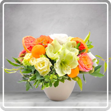 Merry Citrus Delight  in Spencer, MA | Appleblossoms Flowers, Gifts & More