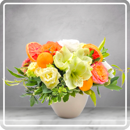 Merry Citrus Delight 