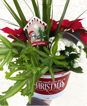 Merry Little Christmas Planter