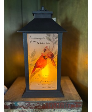 Messenger from heaven lantern  