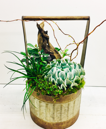 Metal Basket with Succulents 