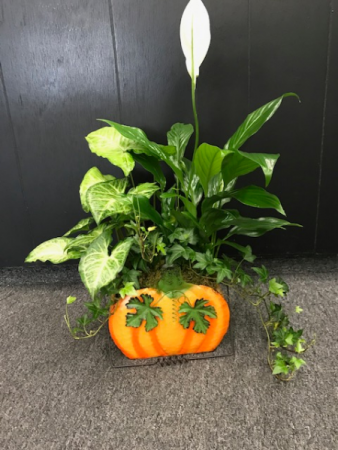 Metal Pumpkin Garden