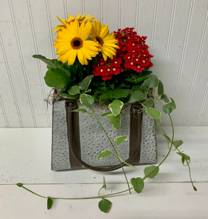 Metal Purse of Annuals