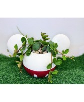 Mickey Mouse Planter House Plant