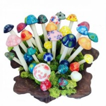 Micro Mushroom for plants  3C Floral Collection 