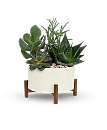 Mid-Century Garden in Canton, NC | Silver + Fern LLC Mid-Century Garden in Canton, NC | Silver + Fern LLC