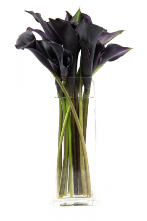 Midnight Calla Rectangle vase