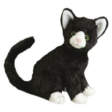 MIDNIGHT CAT