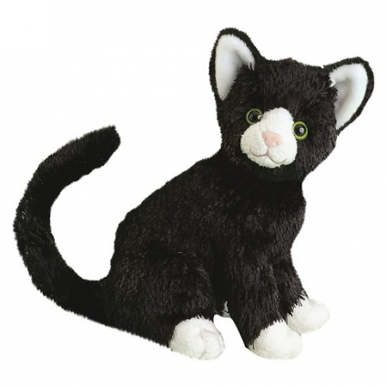 MIDNIGHT CAT