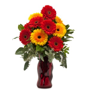 Mighty Gerberas Arrangement