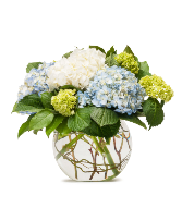 Mighty Hydrangea All Around Arrangement