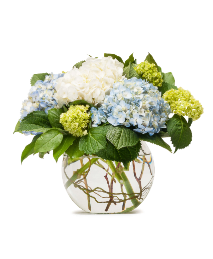 Mighty Hydrangea All Around Arrangement