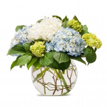 Mighty Hydrangea Arrangement in Roswell, NM | BARRINGER'S BLOSSOM SHOP