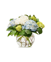 Mighty Hydrangea Vase