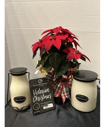 Milkhouse Victorian Christmas 22Oz in Osage, IA | Osage Floral & Gifts