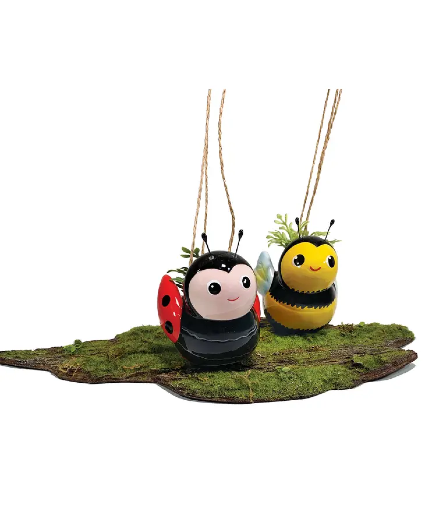 Mini Bee & Ladybug Hanging Planters 